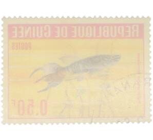 Почтовая марка 0.50 франка 1964 года Гвинея «Аквариумные рыбы — Афиосемион двухполосый»