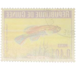 Почтовая марка 0.40 франка 1964 года Гвинея «Аквариумные рыбы — Афиосемион Кортхаус»