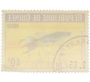 Почтовая марка 40 франков 1964 года Гвинея «Аквариумные рыбы — Афиосемион двухполосый»