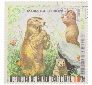 Почтовая марка 0.10 песеты 1974 года Экваториальная Гвинея «Защита природы. Европа — Альпийский сурок»