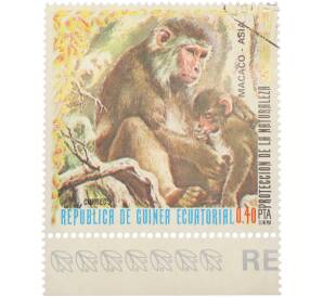 Почтовая марка 0.40 песеты 1974 года Экваториальная Гвинея «Защита природы. Азия — Макак»