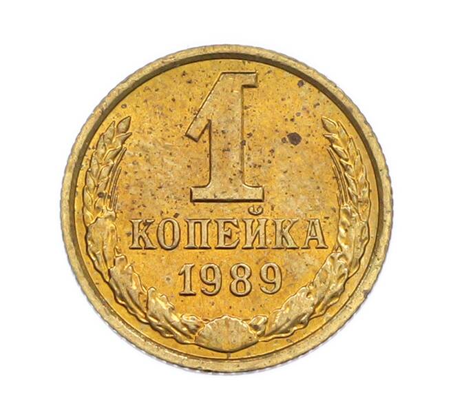 Монета 1 копейка 1989 года (Артикул: T11-54171) — Фото №1