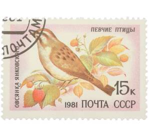 Почтовая марка 15 копеек 1981 года «Певчие птицы — Овсянка Янковского» — Фото №1