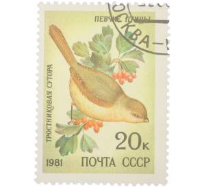 Почтовая марка 20 копеек 1981 года «Певчие птицы — Тростниковая сутора» — Фото №1
