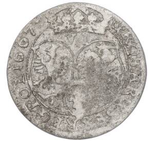 6 грошей 1667 года Польша — Фото №1