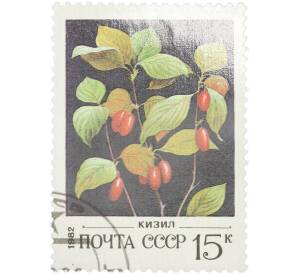 Почтовая марка 15 копеек 1982 года «Дикорастущие ягоды — Кизил» — Фото №1