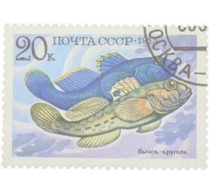 Почтовая марка 20 копеек 1983 года «Промысловые рыбы — Бычок-кругляк» — Фото №1