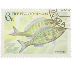 Почтовая марка 6 копеек 1983 года «Промысловые рыбы — Смарида» — Фото №1