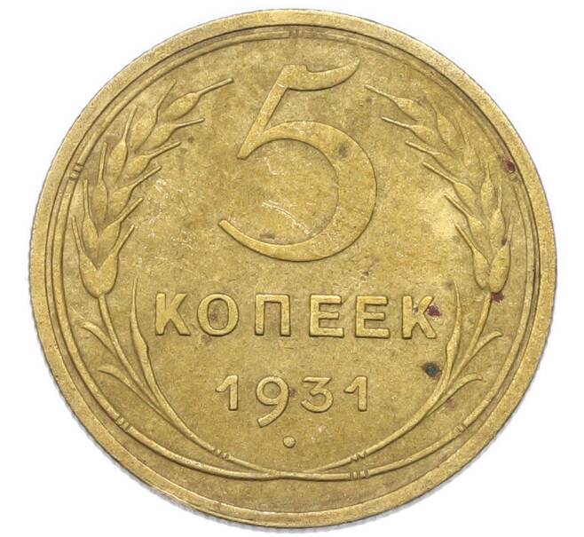 Монета 5 копеек 1931 года (Артикул: K12-93967) — Фото №1