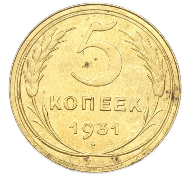 Монета 5 копеек 1931 года (Артикул: K12-93973) — Фото №1