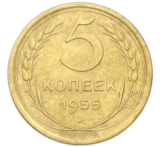 Монета 5 копеек 1955 года (Артикул: K12-94010) — Фото №1
