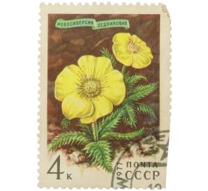 Почтовая марка 4 копейки 1977 года «Флора СССР. Защита природы — Новосиверсия ледниковая» — Фото №1