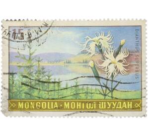 Почтовая марка 15 мунгу 1969 года Монголия «Дикорастущие цветы Монголии — Гвоздика пышная» — Фото №1