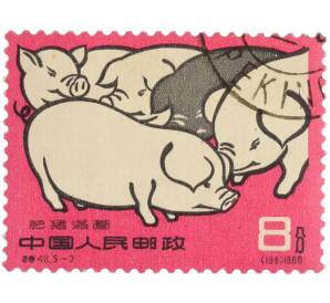 Почтовая марка 8 фэней 1960 года Китай «Свиноводство — Откормленные свиньи» — Фото №1