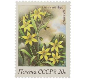 Почтовая марка 20 копеек 1983 года «Флора СССР — Гусиный лук желтый» — Фото №1