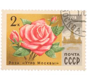 Почтовая марка 2 копейки 1978 года «Цветы — Роза «Утро Москвы»» — Фото №1