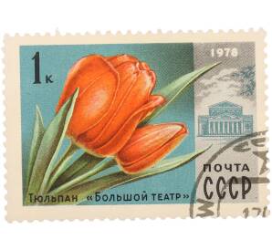 Почтовая марка 1 копейка 1978 года «Цветы — Тюльпан «Большой театр»» — Фото №1