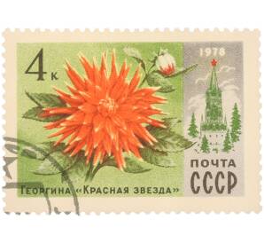 Почтовая марка 4 копейки 1978 года «Цветы — Георгина «Красная звезда»» — Фото №1