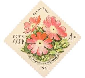 Почтовая марка 4 копейки 1981 года «Флора СССР — Первоцвет маленький» — Фото №1