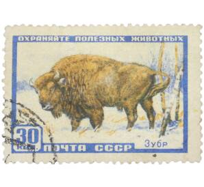Почтовая марка 30 копеек 1957 года «Охраняйте полезных животных — Зубр» — Фото №1