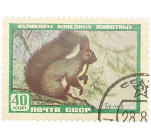 Почтовая марка 40 копеек 1959 года «Охраняйте полезных животных — Белка» — Фото №1