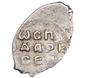 Денга 1462-1505 года Иван III Васильевич — С (Чекан Новгорода) — Фото №2