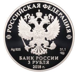 3 рубля 2018 года СПМД «Чемпионат Мира по футболу FIFA-2018 в России — Сочи» — Фото №2