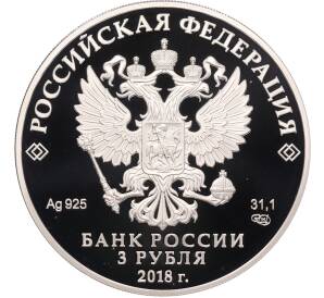 3 рубля 2018 года СПМД «Чемпионат Мира по футболу 2018 в России — Нижний Новгород» — Фото №2