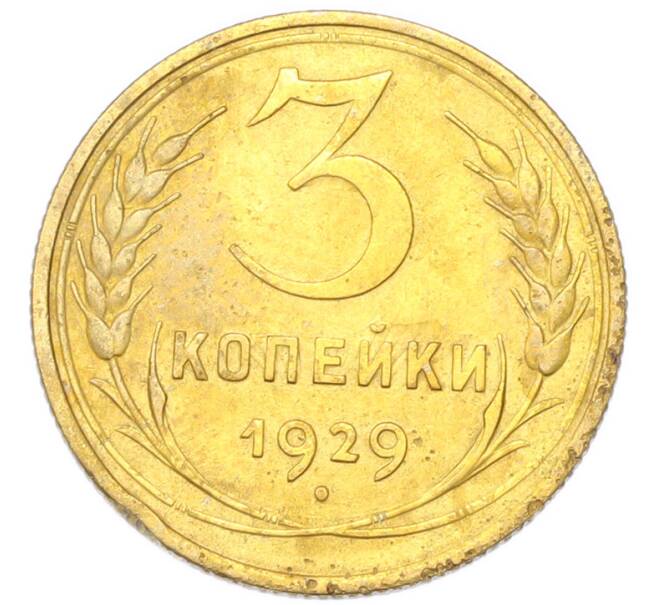 Монета 3 копейки 1929 года (Артикул: K12-94735) — Фото №1