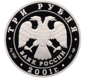 3 рубля 2001 года СПМД «10 лет Содружеству Независимых Государств» — Фото №2