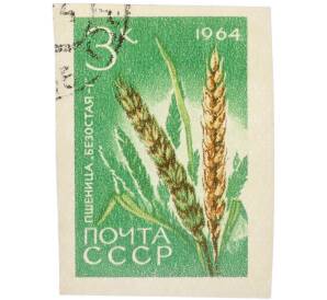 Почтовая марка 3 копейки 1964 года «Пшеница — Сорт Безостая-1» (Без перфорации) — Фото №1