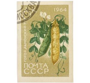 Почтовая марка 1 копейка 1964 года «Горох — Сорт Рамонский-77» (Без перфорации) — Фото №1