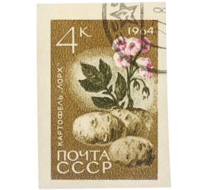 Почтовая марка 4 копейки 1964 года «Картофель — Сорт Лорх» (Без перфорации) — Фото №1