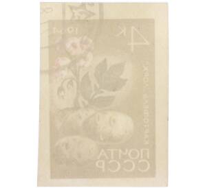 Почтовая марка 4 копейки 1964 года «Картофель — Сорт Лорх» (Без перфорации) — Фото №2