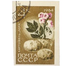 Почтовая марка 4 копейки 1964 года «Картофель — Сорт Лорх» (Без перфорации) — Фото №1