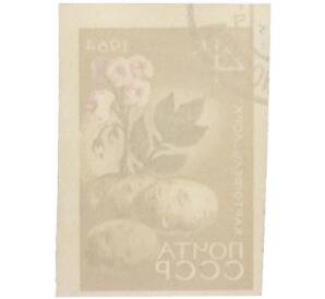 Почтовая марка 4 копейки 1964 года «Картофель — Сорт Лорх» (Без перфорации) — Фото №2