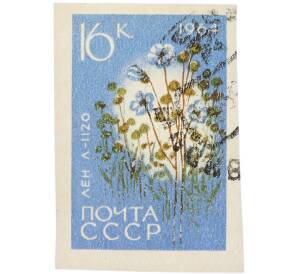 Почтовая марка 16 копеек 1964 года «Лен — Сорт Л-1120» (Без перфорации) — Фото №1