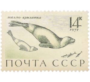Почтовая марка 14 копеек 1971 года «Фауна морей СССР — Тюлень-крылатка» — Фото №1