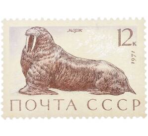 Почтовая марка 12 копеек 1971 года «Фауна морей СССР — Морж» — Фото №1