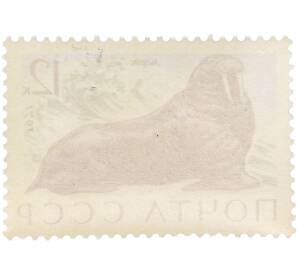 Почтовая марка 12 копеек 1971 года «Фауна морей СССР — Морж» — Фото №2