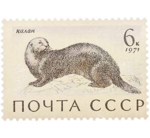 Почтовая марка 6 копеек 1971 года «Фауна морей СССР — Калан» — Фото №1