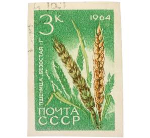Почтовая марка 3 копейки 1964 года «Пшеница — Сорт Безостая-1» (Без перфорации) — Фото №1