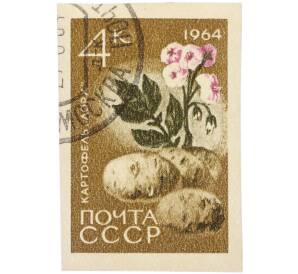 Почтовая марка 4 копейки 1964 года «Картофель — Сорт Лорх» (Без перфорации) — Фото №1