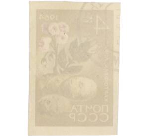 Почтовая марка 4 копейки 1964 года «Картофель — Сорт Лорх» (Без перфорации) — Фото №2