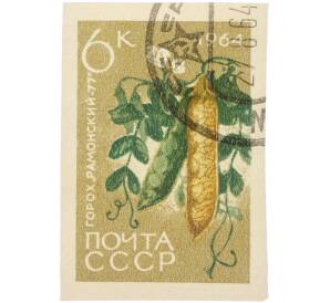 Почтовая марка 60 копеек 1964 года «Горох — Сорт Рамонский-77» (Без перфорации) — Фото №1