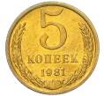 Монета 5 копеек 1981 года (Артикул: K7-5320) — Фото №1