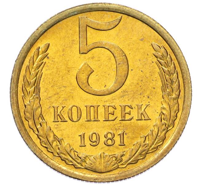 Монета 5 копеек 1981 года (Артикул: K7-5320) — Фото №1