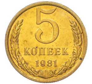 5 копеек 1981 года — Фото №1