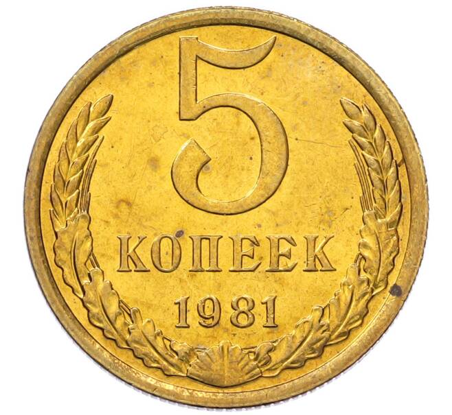 Монета 5 копеек 1981 года (Артикул: K7-5321) — Фото №1