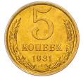 Монета 5 копеек 1981 года (Артикул: K7-5322) — Фото №1